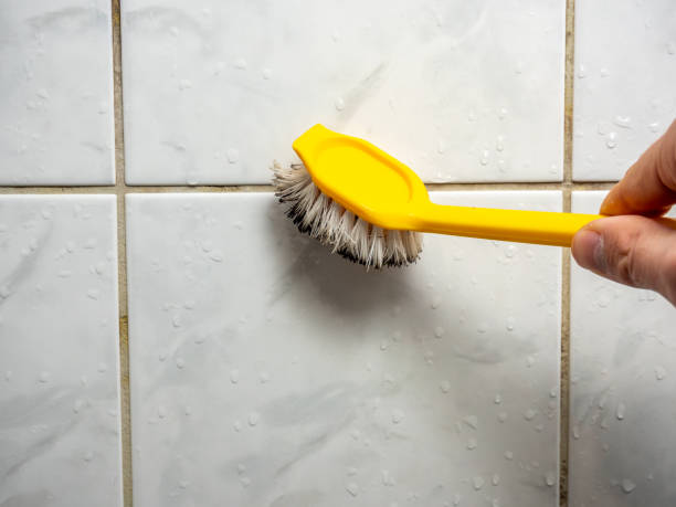 Best Best Mold Removal Companies  in Pueblo West, CO