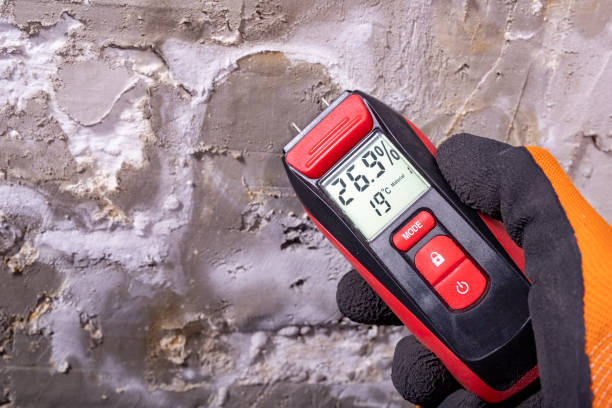 Best Local Mold Removal Service  in Pueblo West, CO