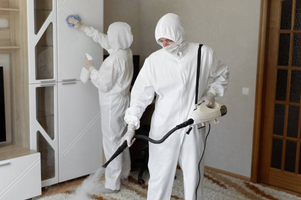 Mold Removal and Inspection in Pueblo West, CO