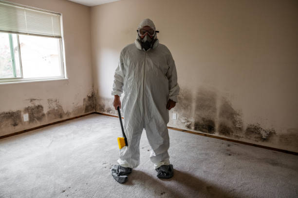 Best Mold Testing  in Pueblo West, CO